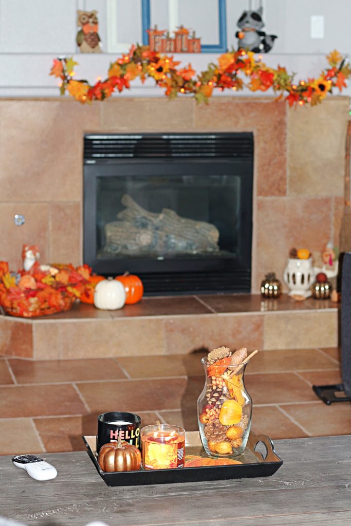 Fall decorating and Emmy’s excitment