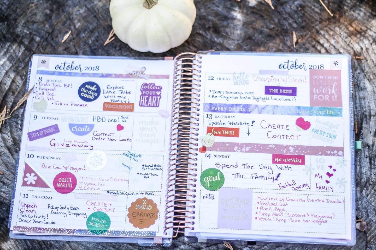 How I Stay Organized and My Favorite Life Planner