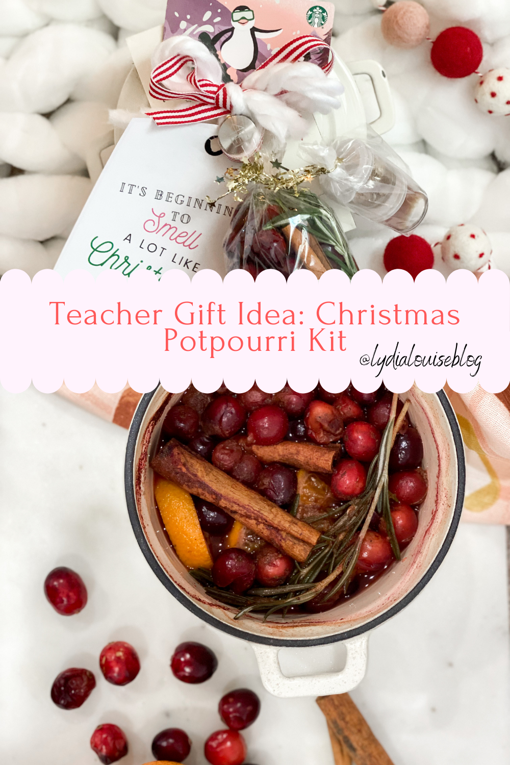 Teacher Gift: Mini Simmering Stove Top Christmas Potpourri